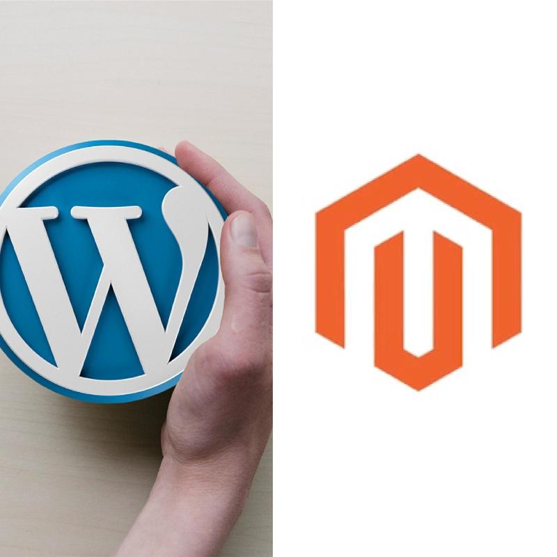 WORDPRESS OR MAGENTO – WHICH IS BETTER FOR YOUR ECOMMERCE BUSINESS?